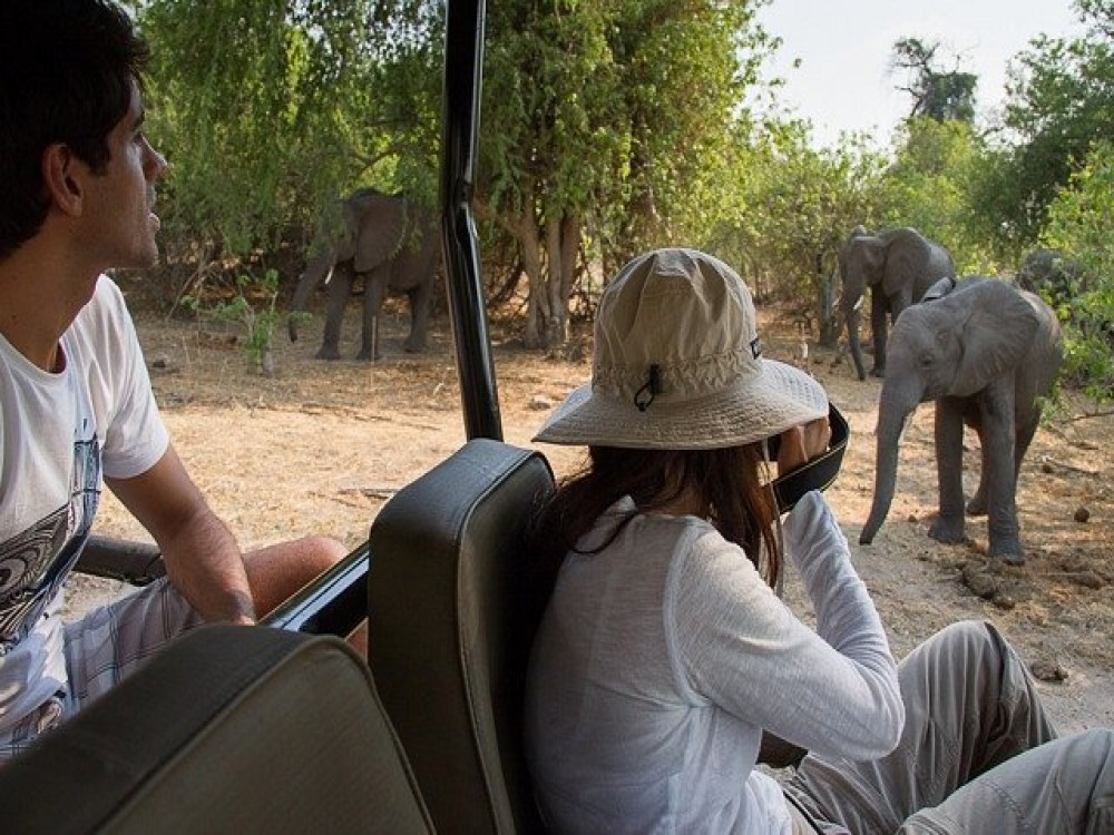 Kalahari Tours