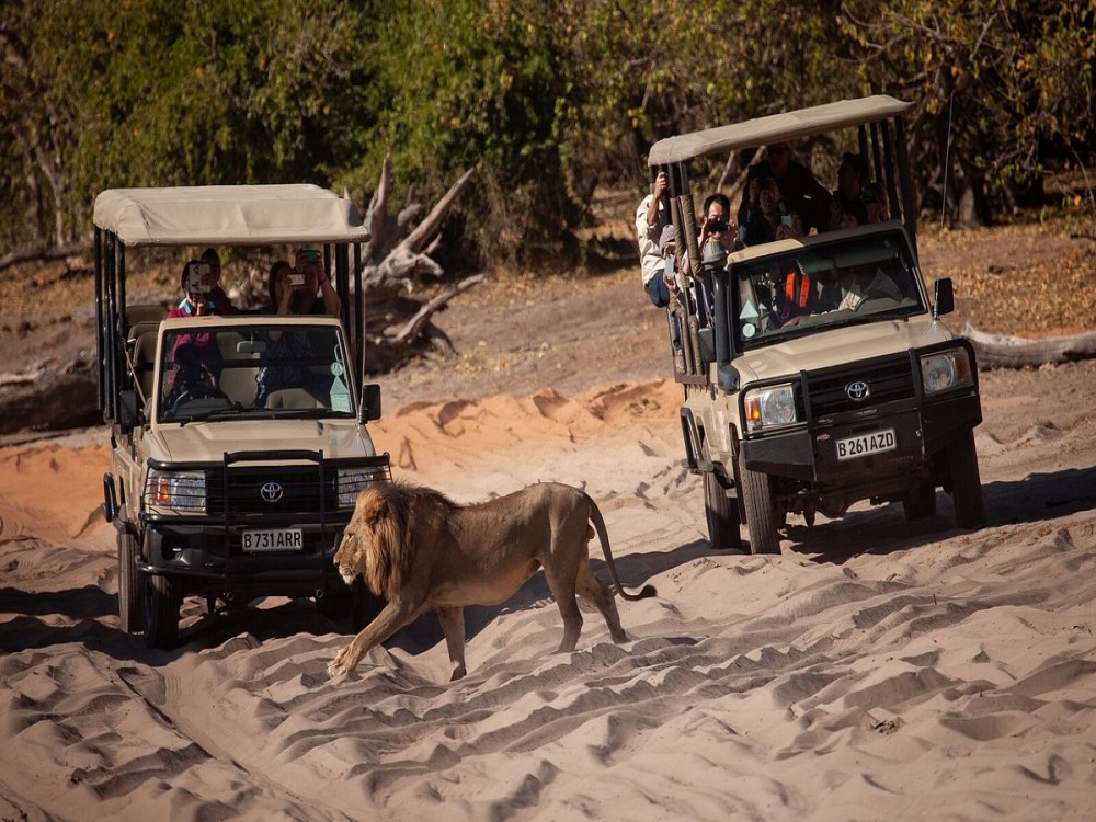Kalahari Tours