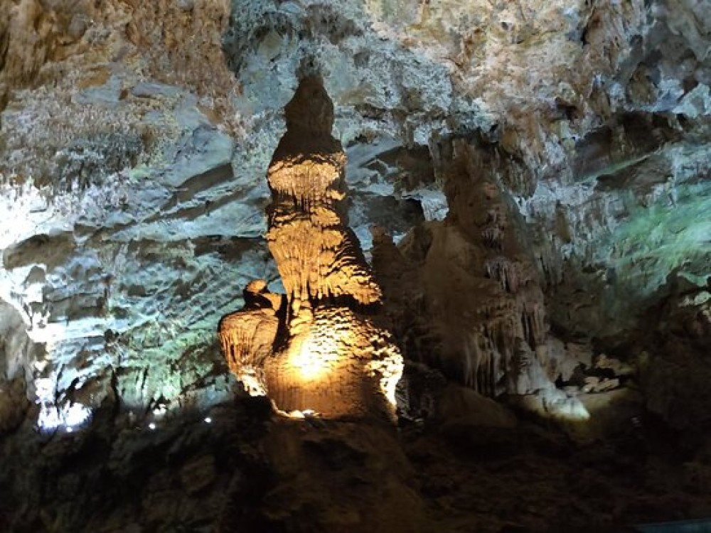 Phongnha Discovery