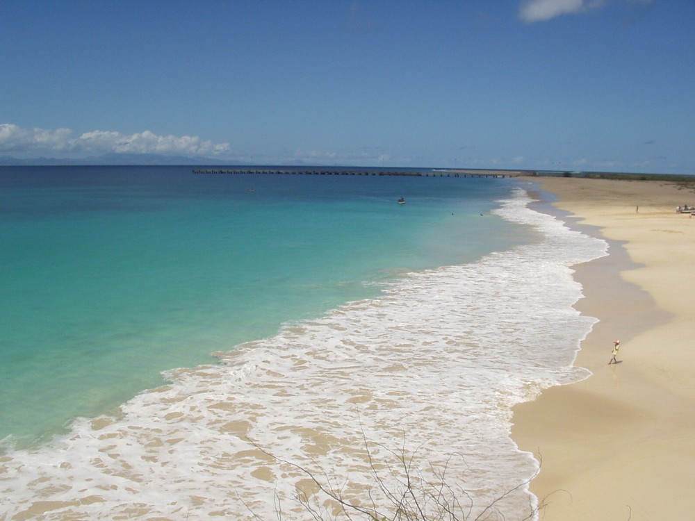 Tropical Maio