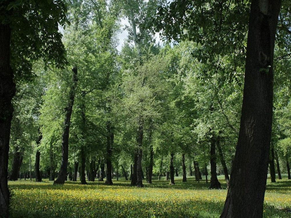 Ada Ciganlija
