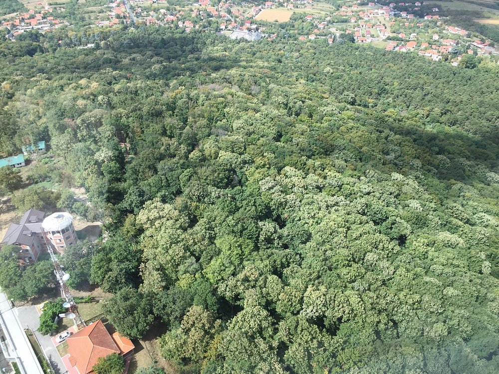Avala Tower