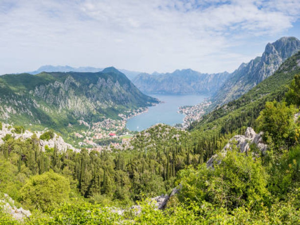 Kotor Serpentine