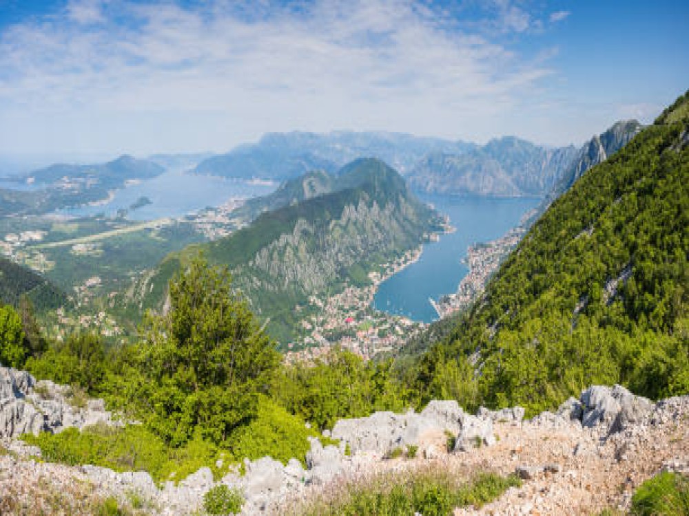Kotor Serpentine