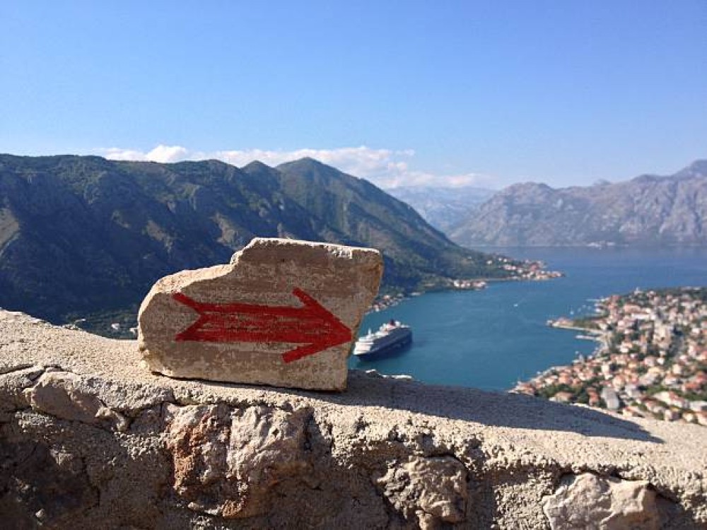 Kotor Serpentine