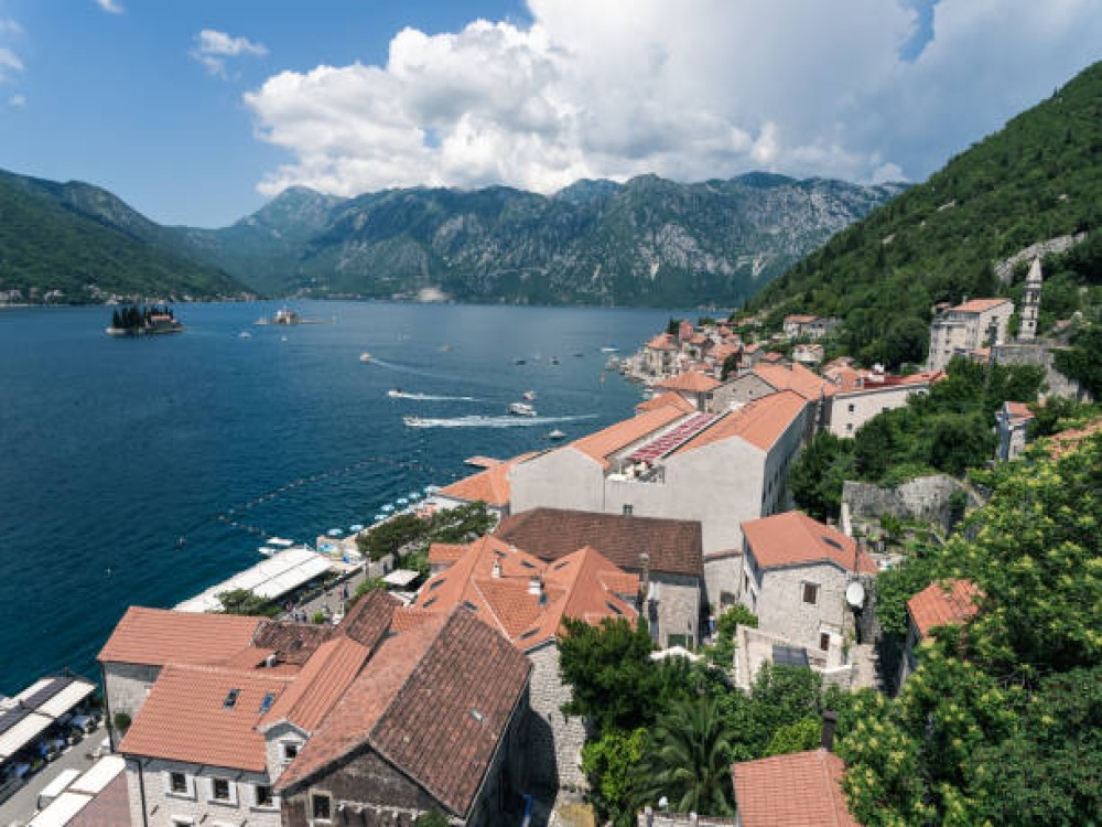 Kotor Serpentine