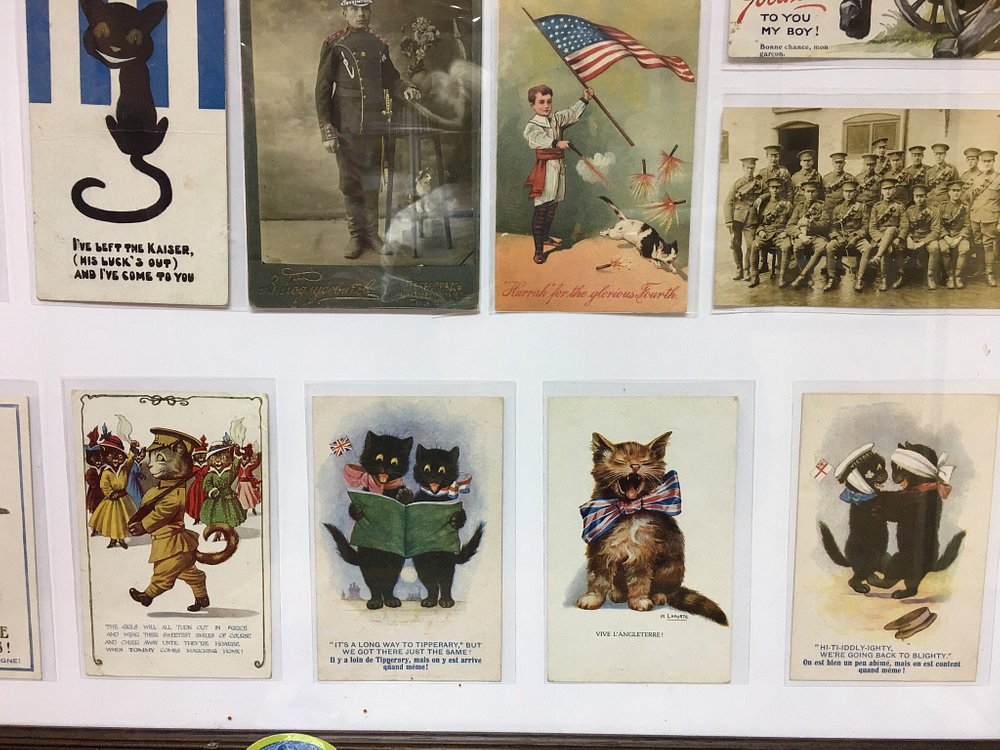 Cats Museum