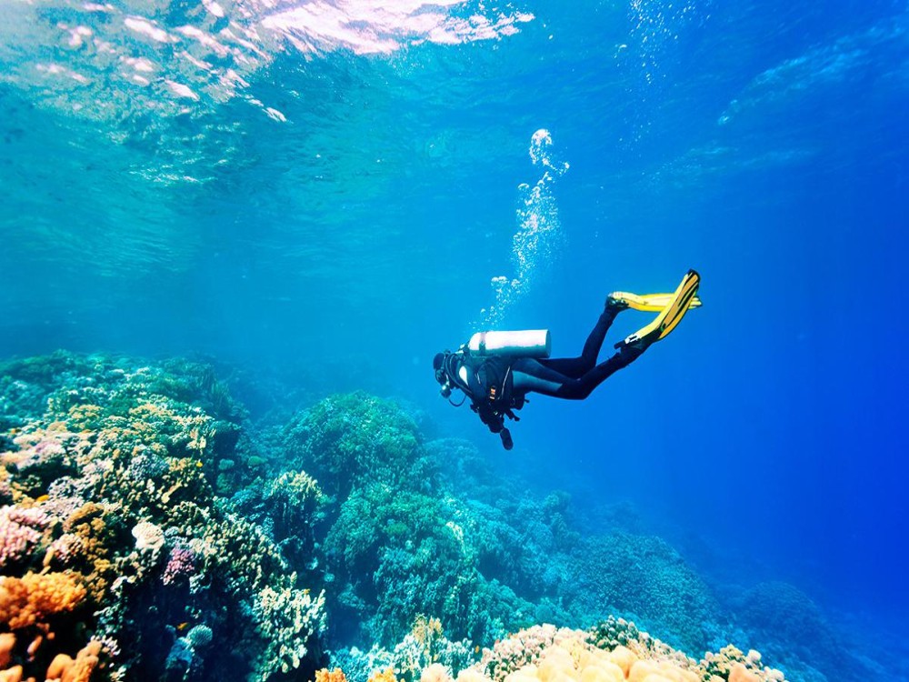 AAA Maio Diving