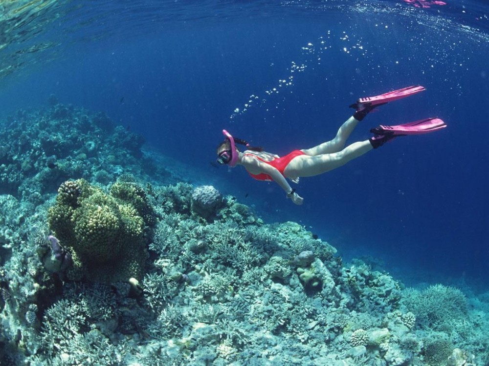 AAA Maio Diving