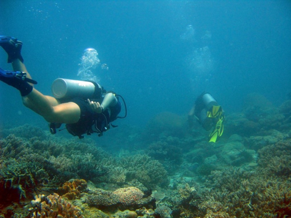 AAA Maio Diving