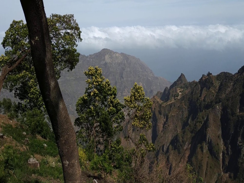 Criolo Trails