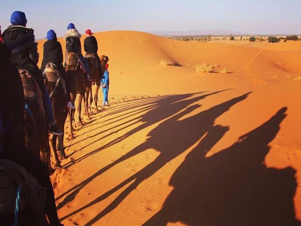 Mouhou Tours