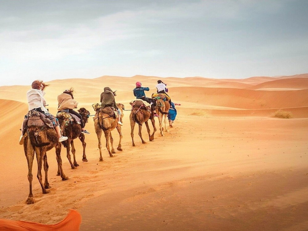 Mouhou Tours