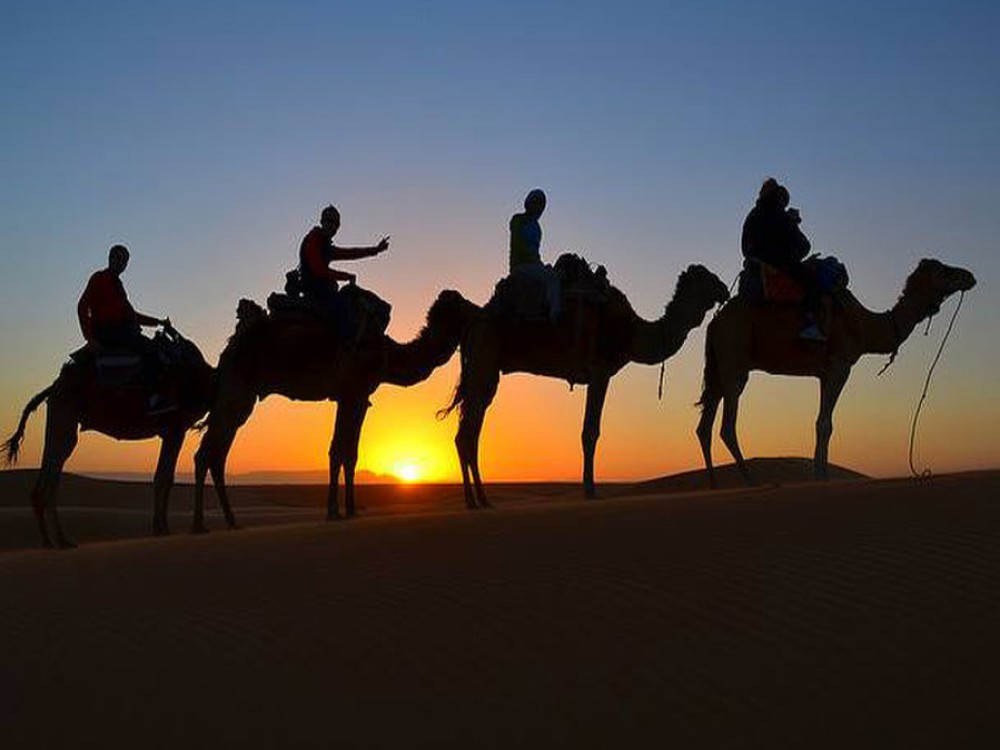 Mouhou Tours