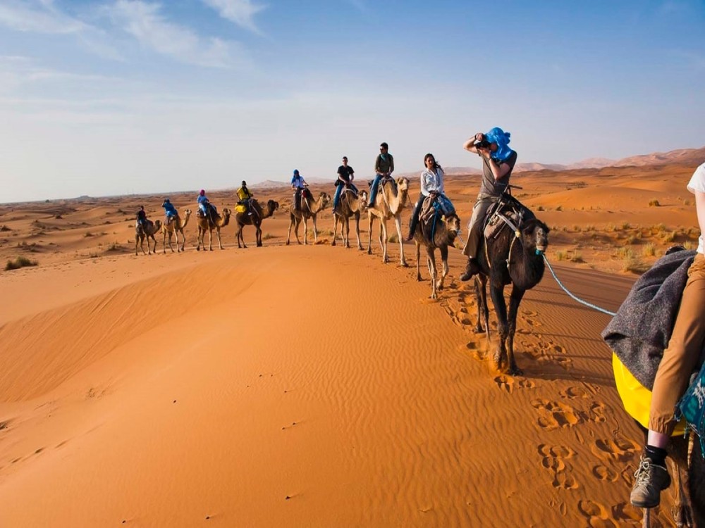 Mouhou Tours