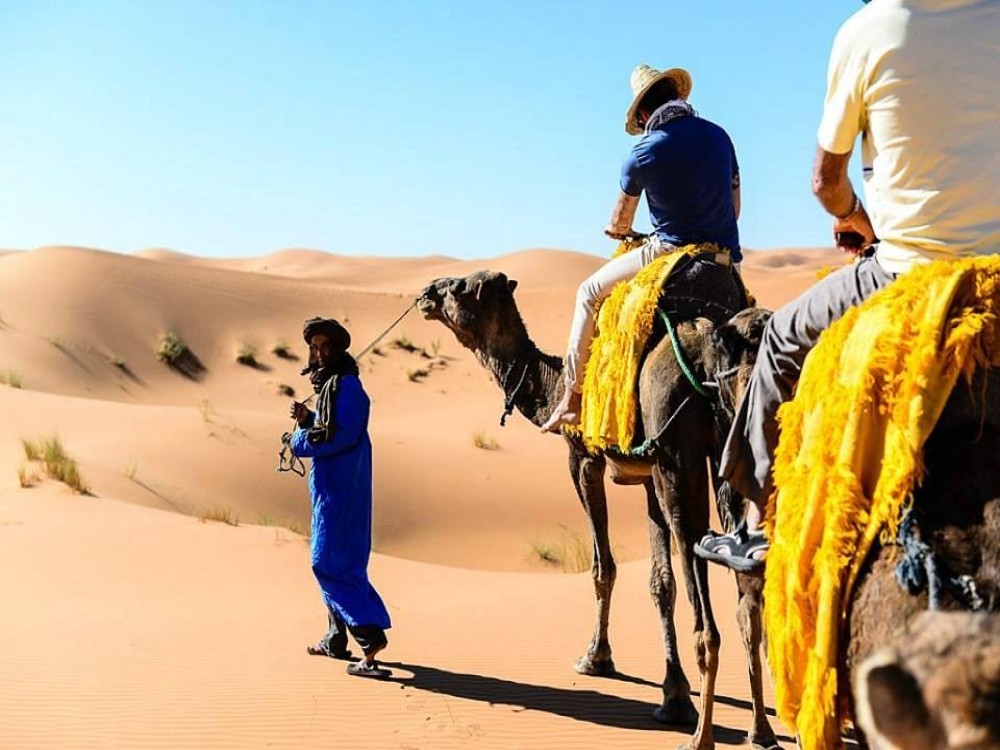 Mouhou Tours