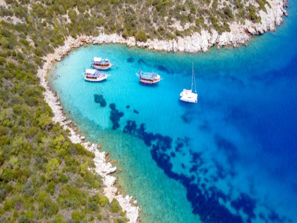 Orak Island