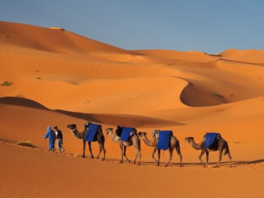 Merzouga Desert