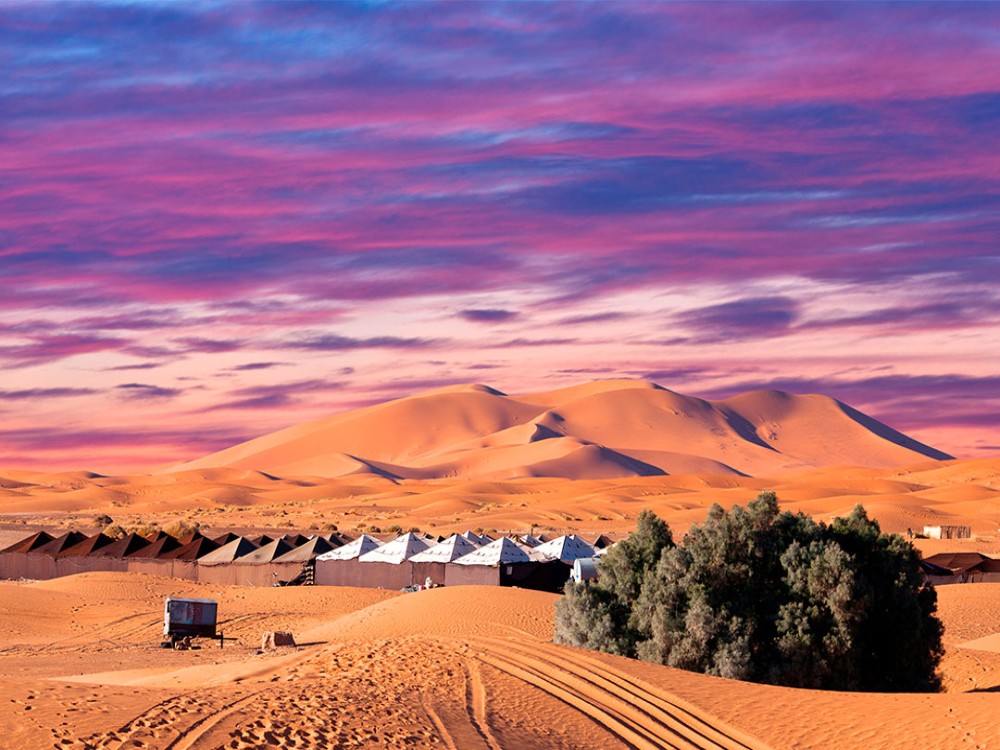 Merzouga Desert