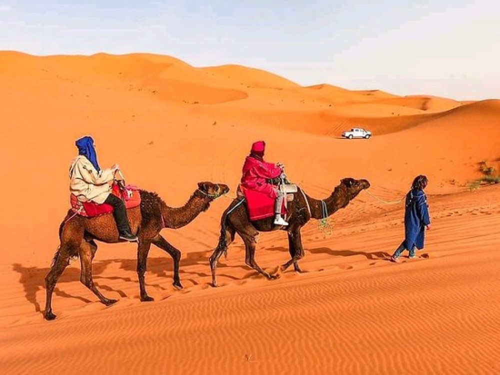 Camp Camel Trekking