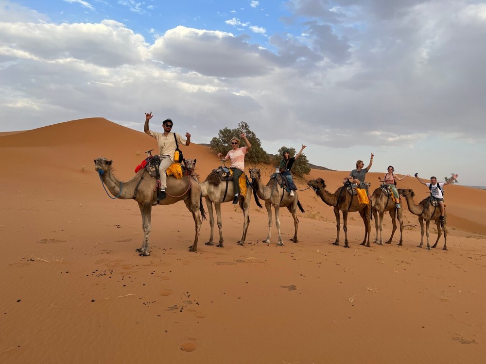 Camp Camel Trekking