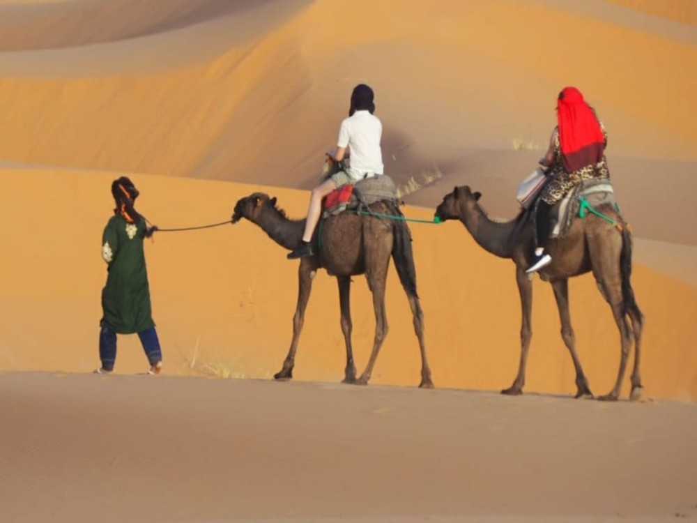 Camp Camel Trekking