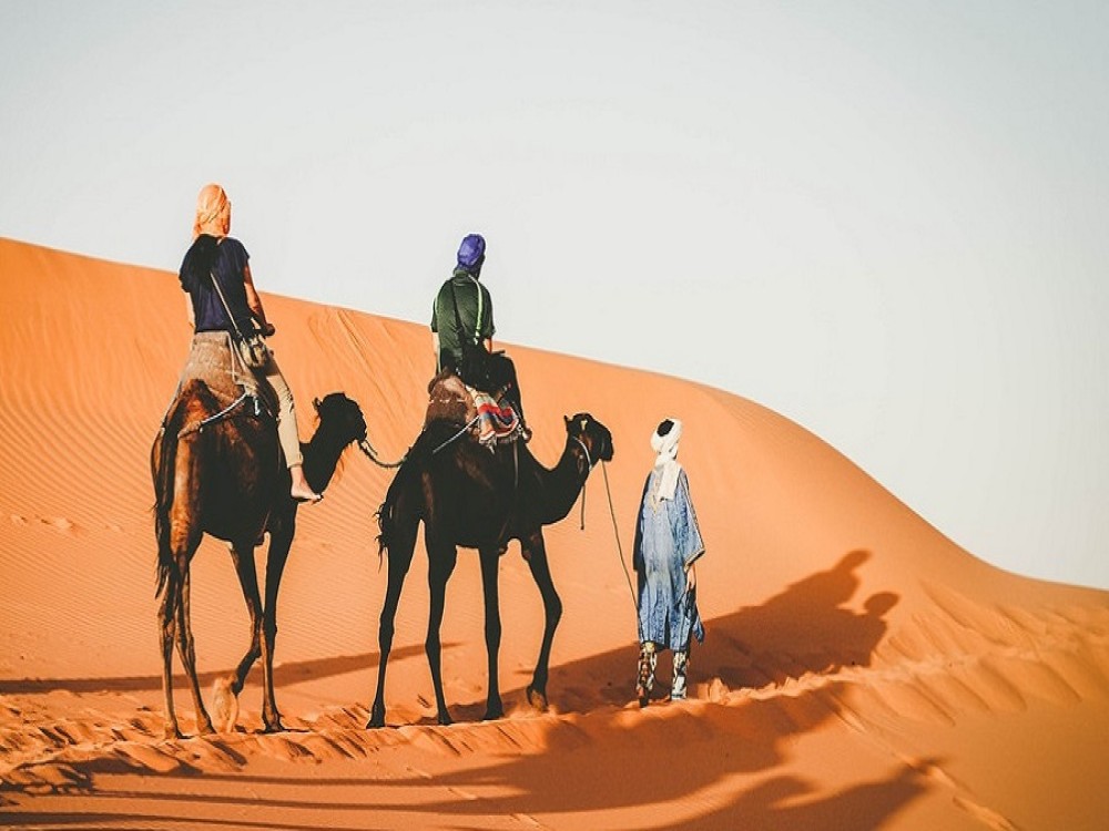 Camp Camel Trekking