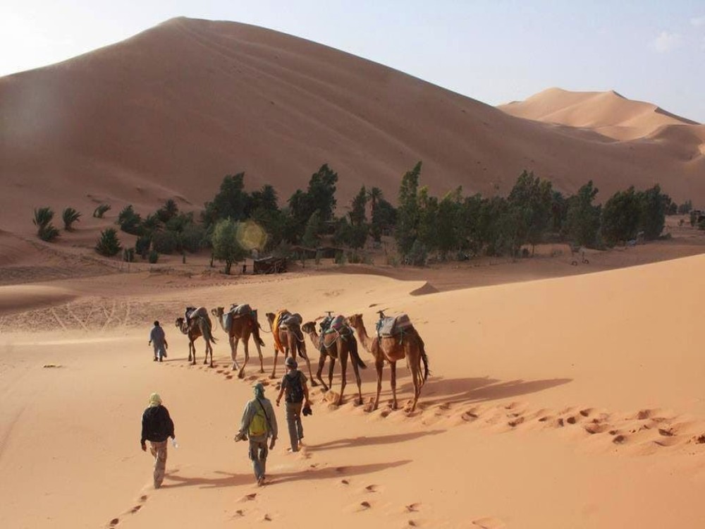 Camp Camel Trekking