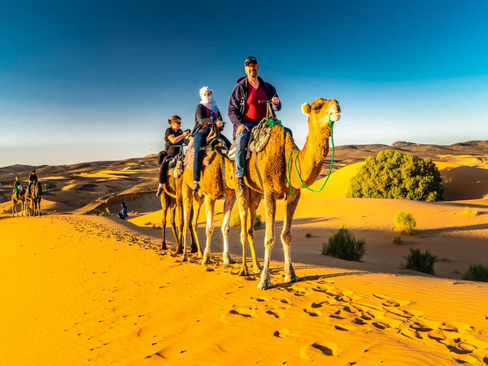 Camp Camel Trekking