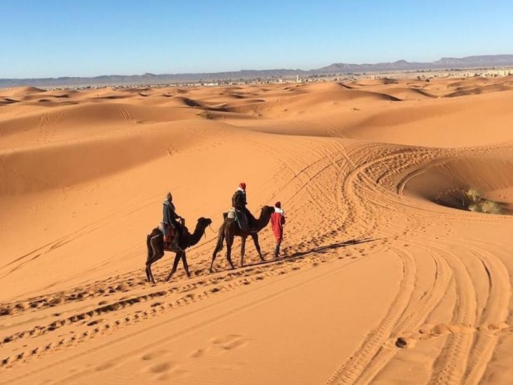 Camp Camel Trekking