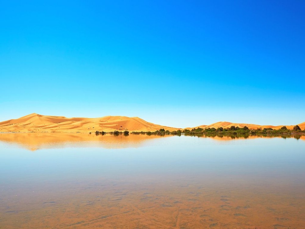The Lake of Merzouga