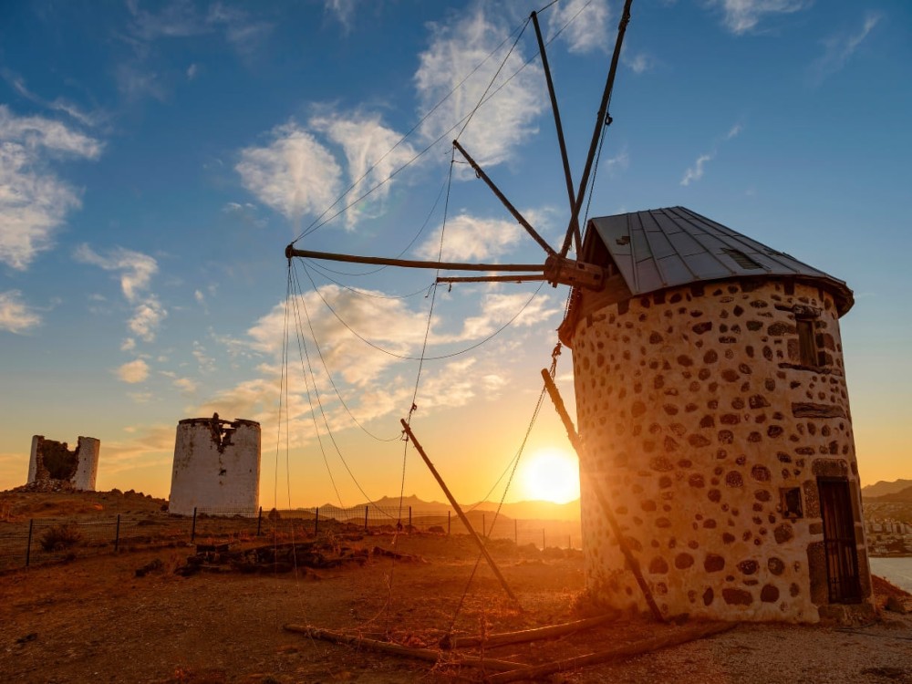  Windmills Tours 