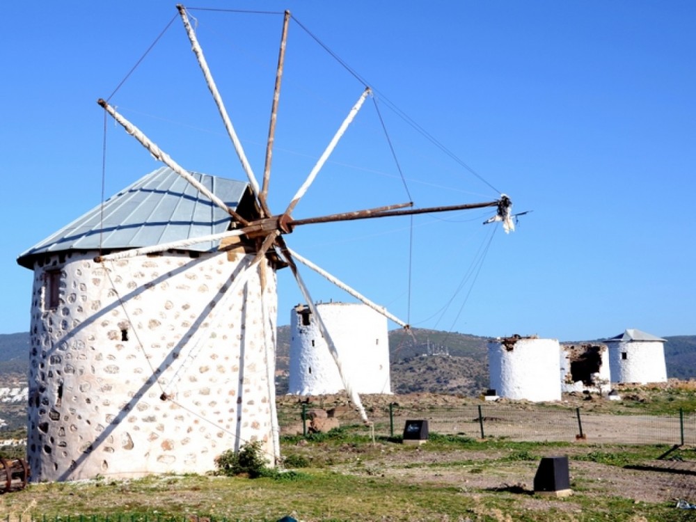  Windmills Tours 