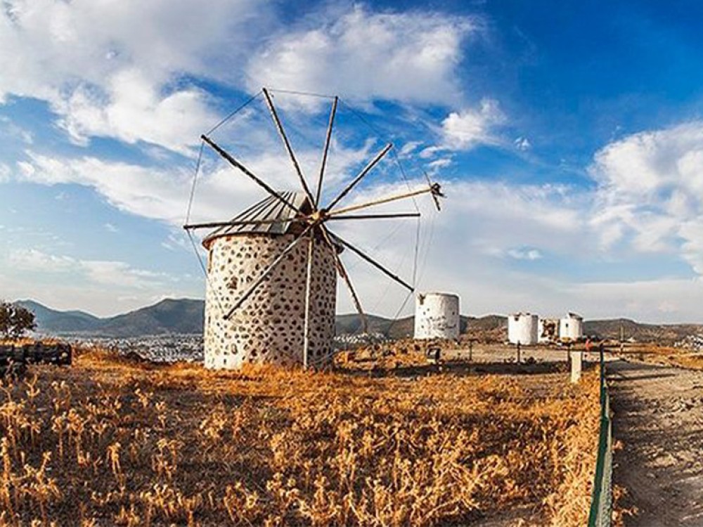  Windmills Tours 