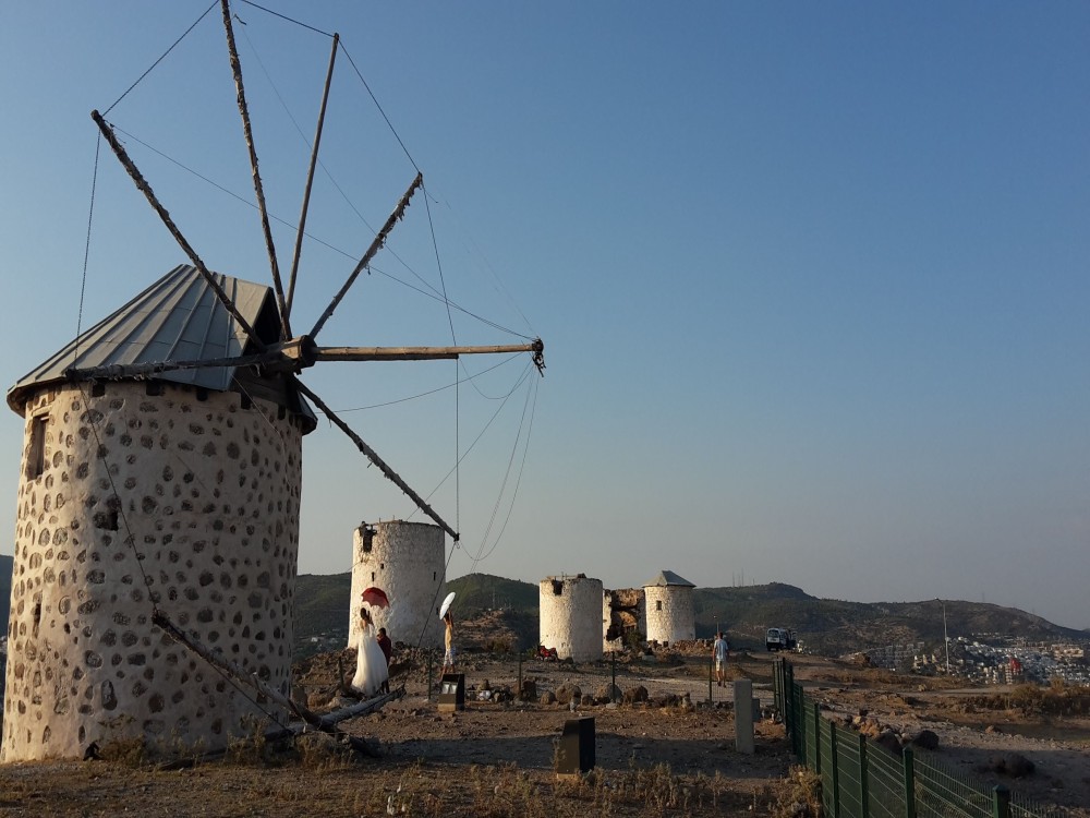  Windmills Tours 