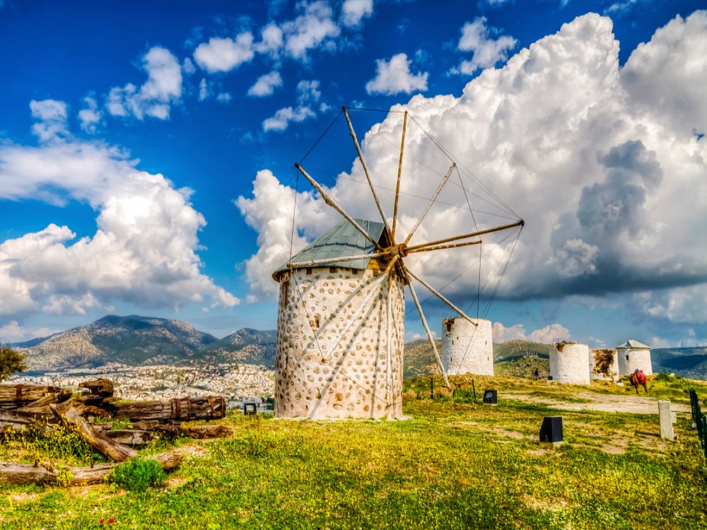  Windmills Tours 