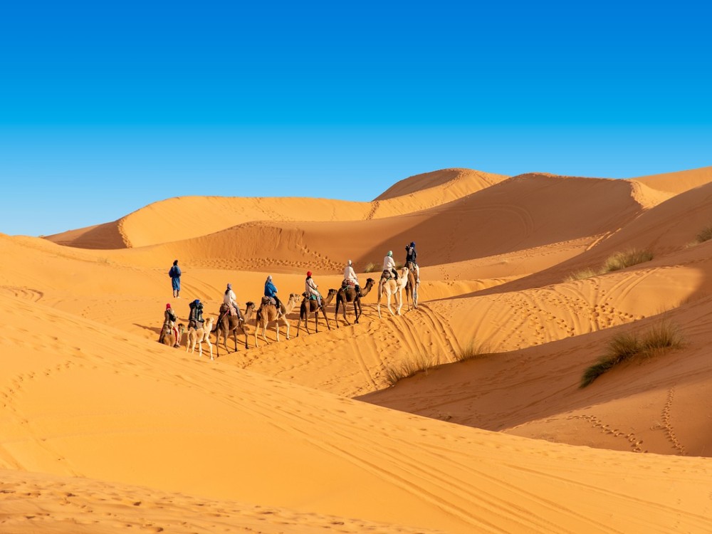 Top Erg Chebbi Safaris