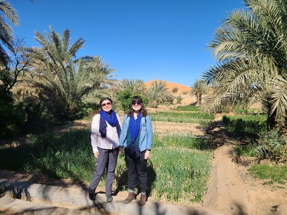 Hassilabied Gardens