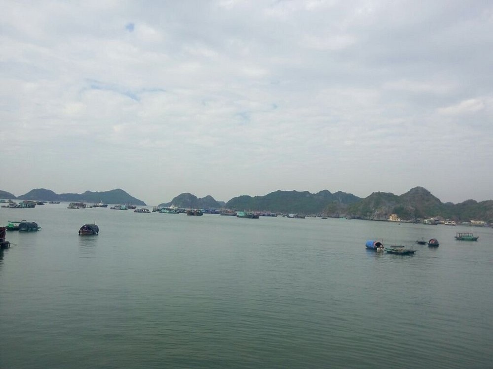 Castaway Island