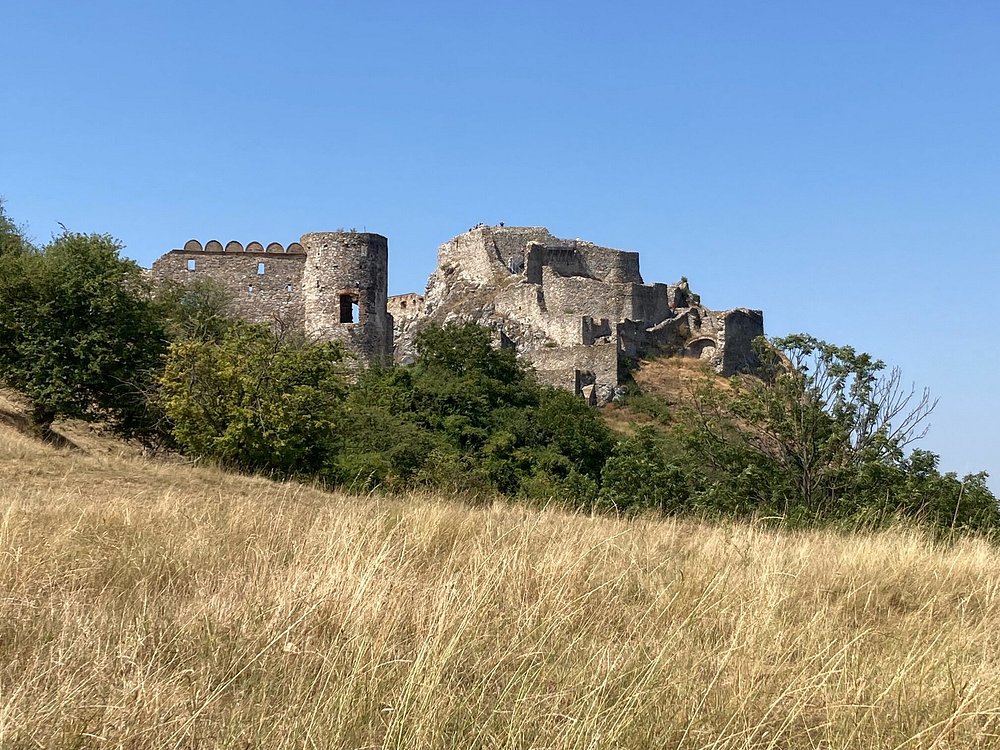 Devin Castle