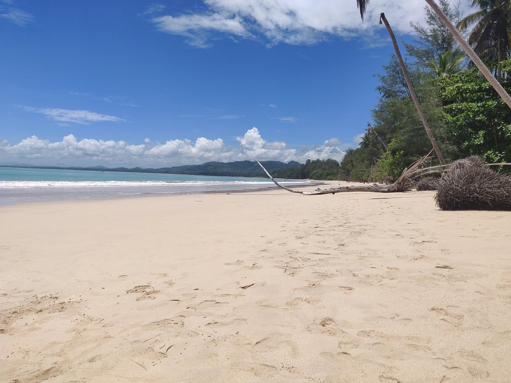 Coconut Beach