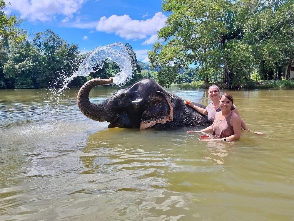 Supaporn Elephant Camp