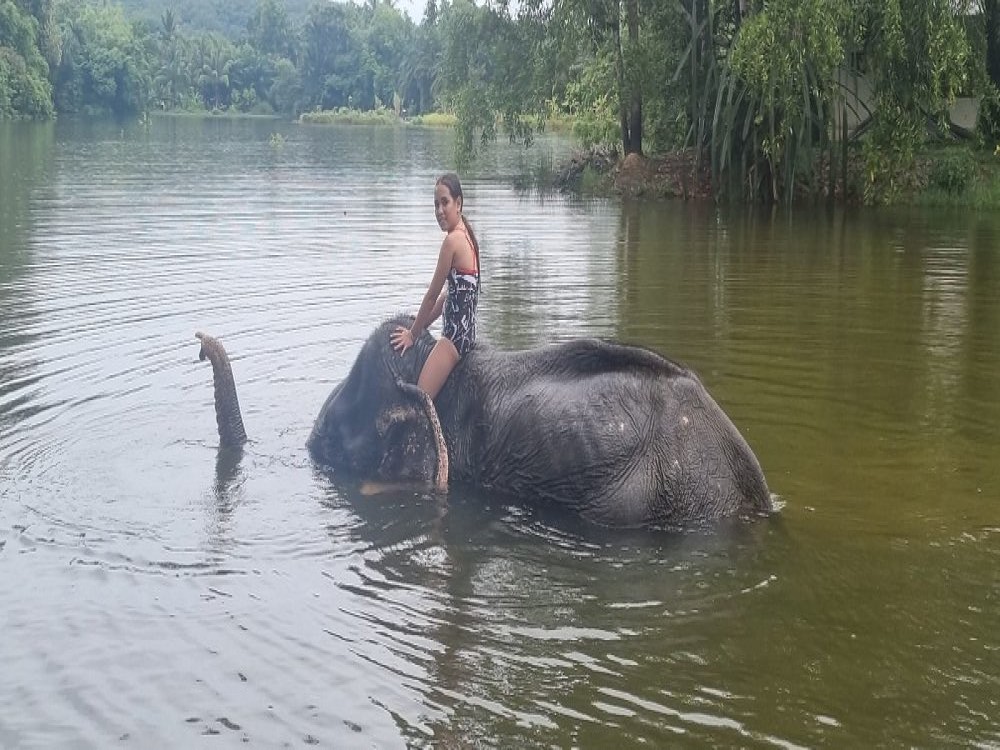 Supaporn Elephant Camp