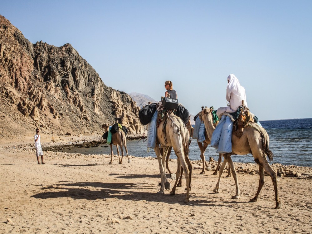 King Safari Dahab St. Catherine/Mt. Sinai Trip - Day