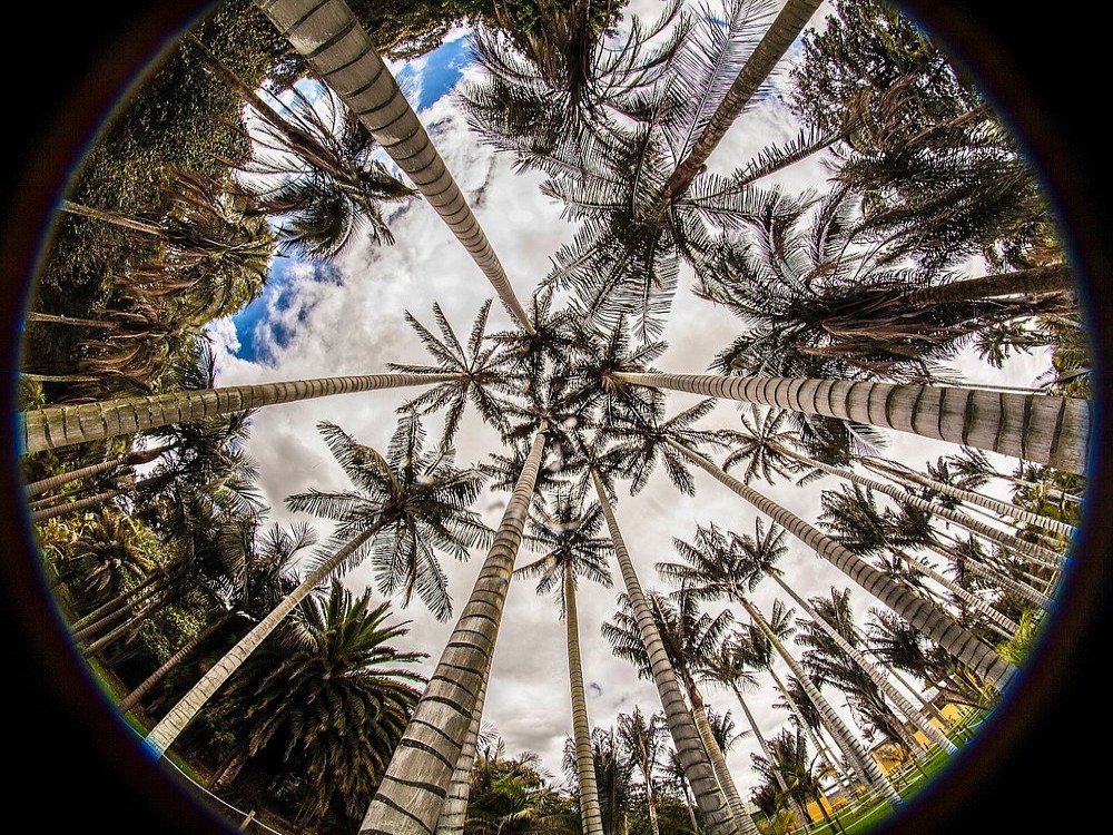 Jardin Botanico de Bogota Jose Celestino Mutis