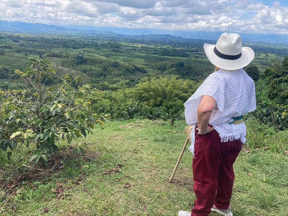 La Divisa De Don Juan