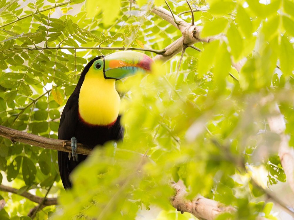 Bioparque Ukumarí