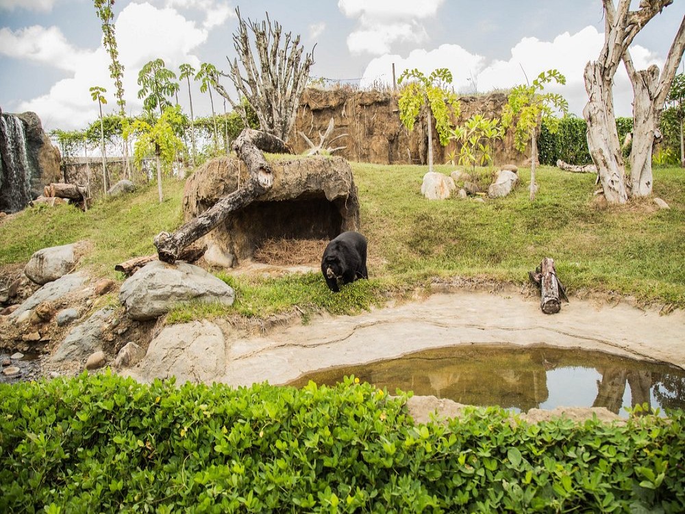 Bioparque Ukumarí