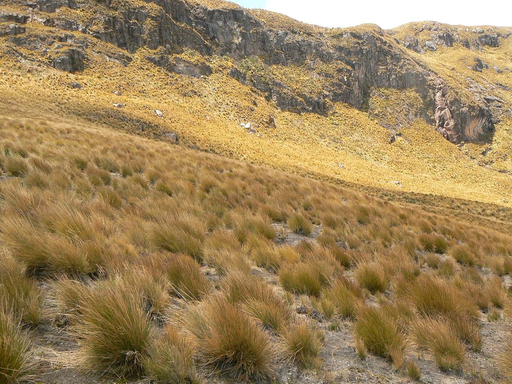 Lake Otun