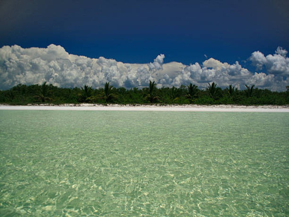 Cayo Bolívar